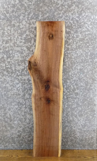 Natural Edge Black Walnut Rustic Accent/Side Table Top Slab 1579